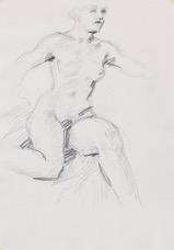 Wondrous Head; graphite on paper, 29 x 21 cm, 2012